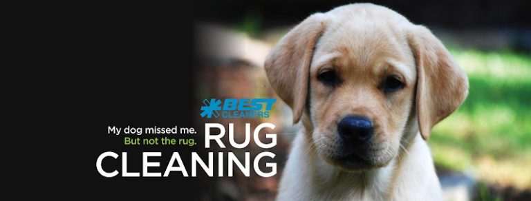 32627 d663c5ee7588 768x292