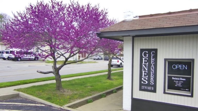 36068 70e115b8458b 768x432