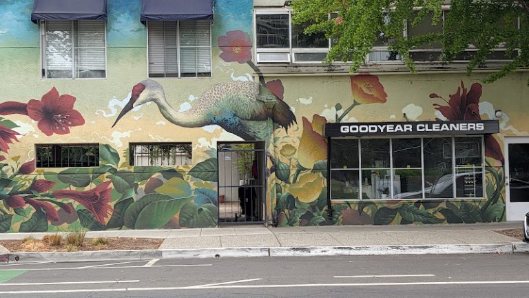 38147 673895c1c9fd 768x432