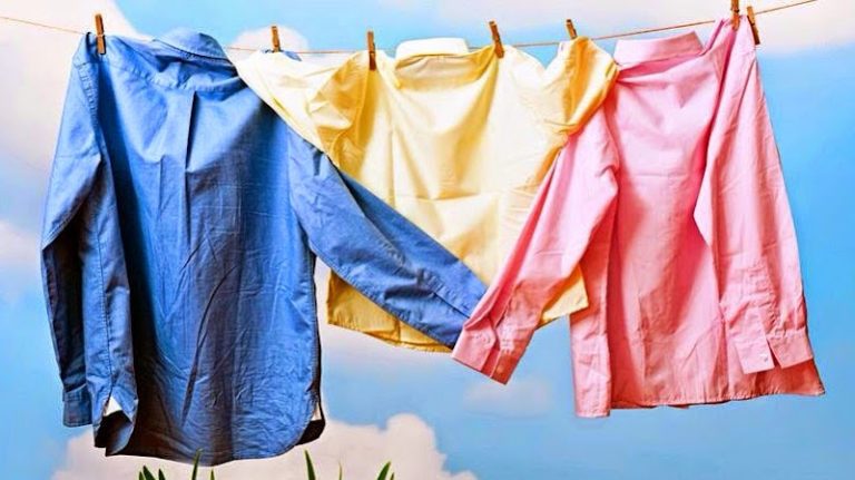 44164 f6b6b6d09853 768x431