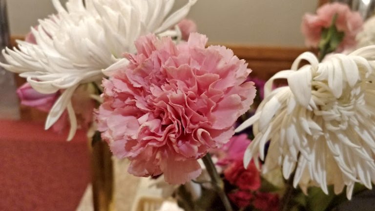 44406 8b39a2befc38 768x432