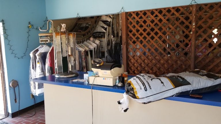 45892 28e2132598bb 768x432