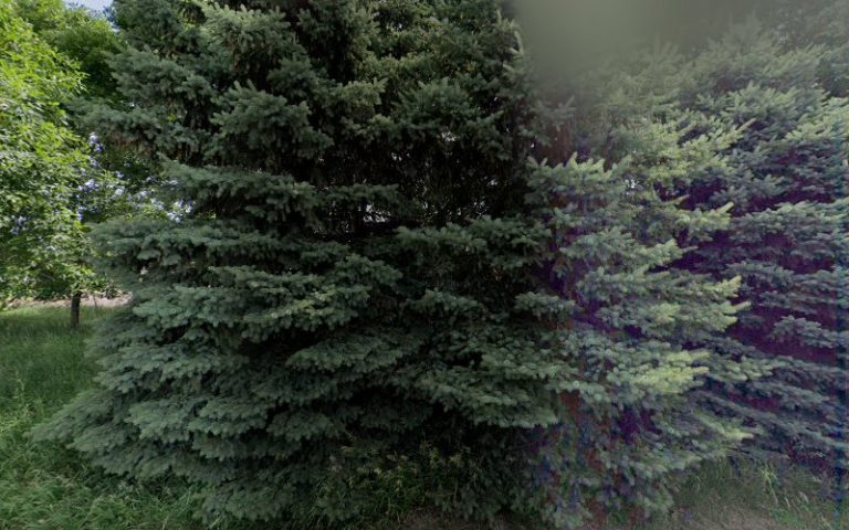 49067 6836093a424b 768x480