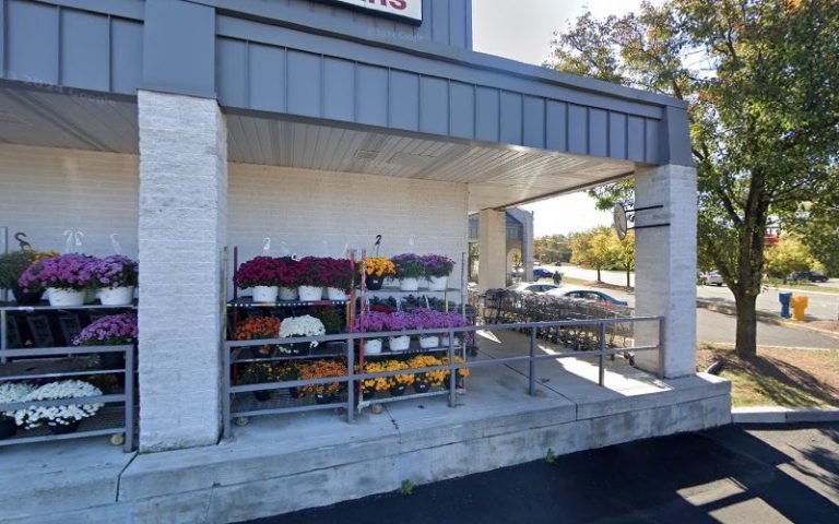 53712 37eeead30fbc 768x480