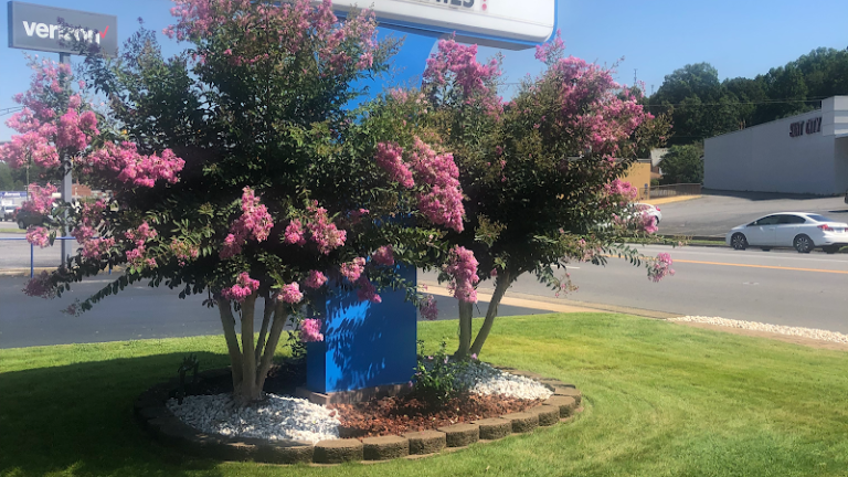 55359 fd8b10ef6be0 768x432