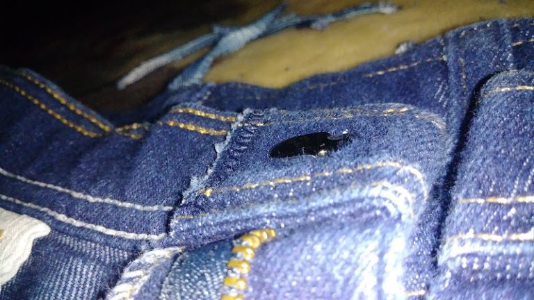 59583 6749c4e1fa1f 768x432