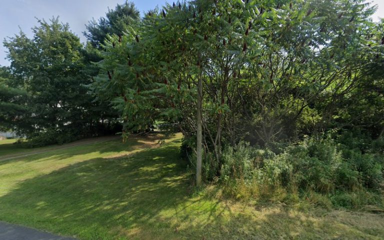 62216 8fc00753a1ed 768x480