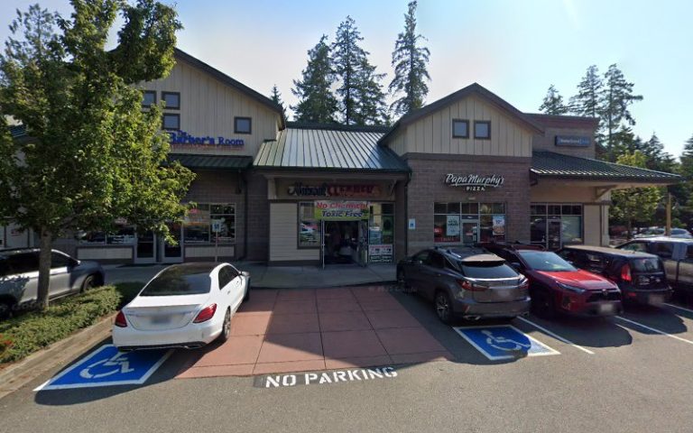 62377 b90044a303c6 768x480