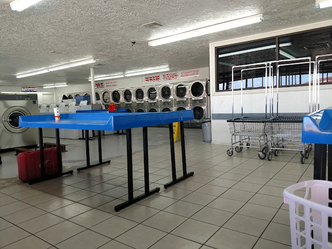 81595 3a214bf2d820