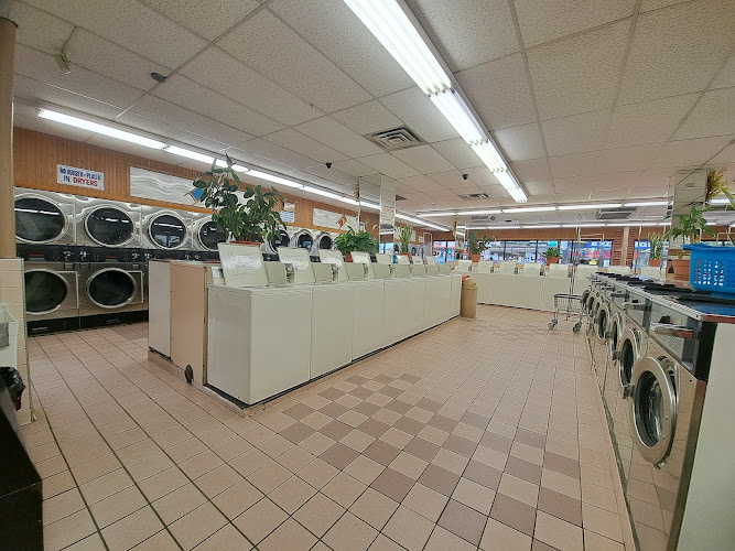 86119 a61250f6535c