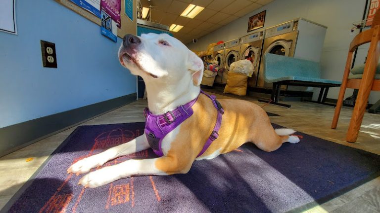 92410 c10ecef2983e 768x432