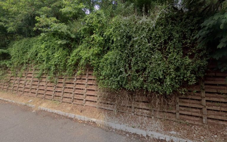 100542 c610f6497404 768x480